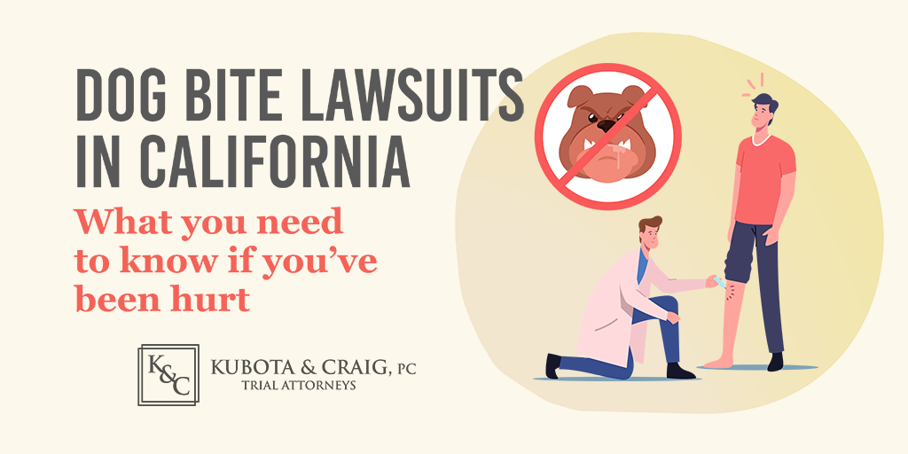 Dog Bite Lawsuits In California